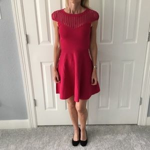 French Connection knitted stretch dress. Brand NEW